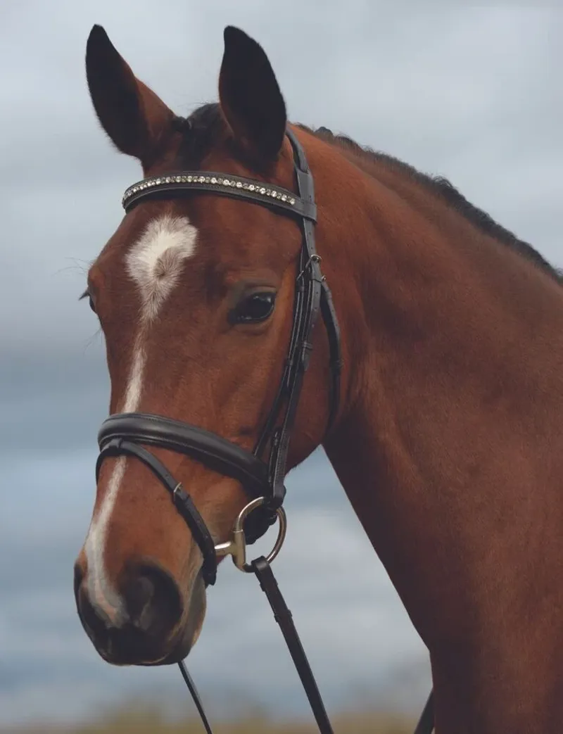 Kincade Padded Crystal Crank Flash Bridle - Brown - Slight Seconds-1