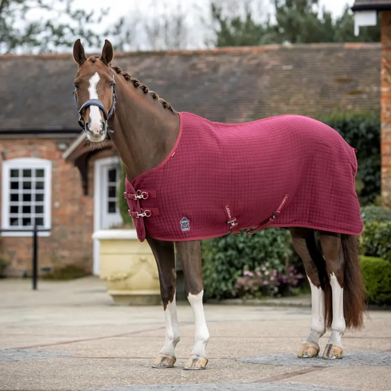 LeMieux Arika Clima-Tek Rug - Burgundy