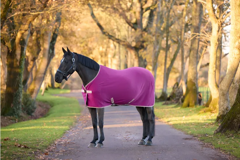 LeMieux Arika Jersey-Tek Fleece Rug - Blackberry