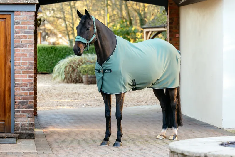 LeMieux Arika Jersey-Tek Fleece Rug - Aloe