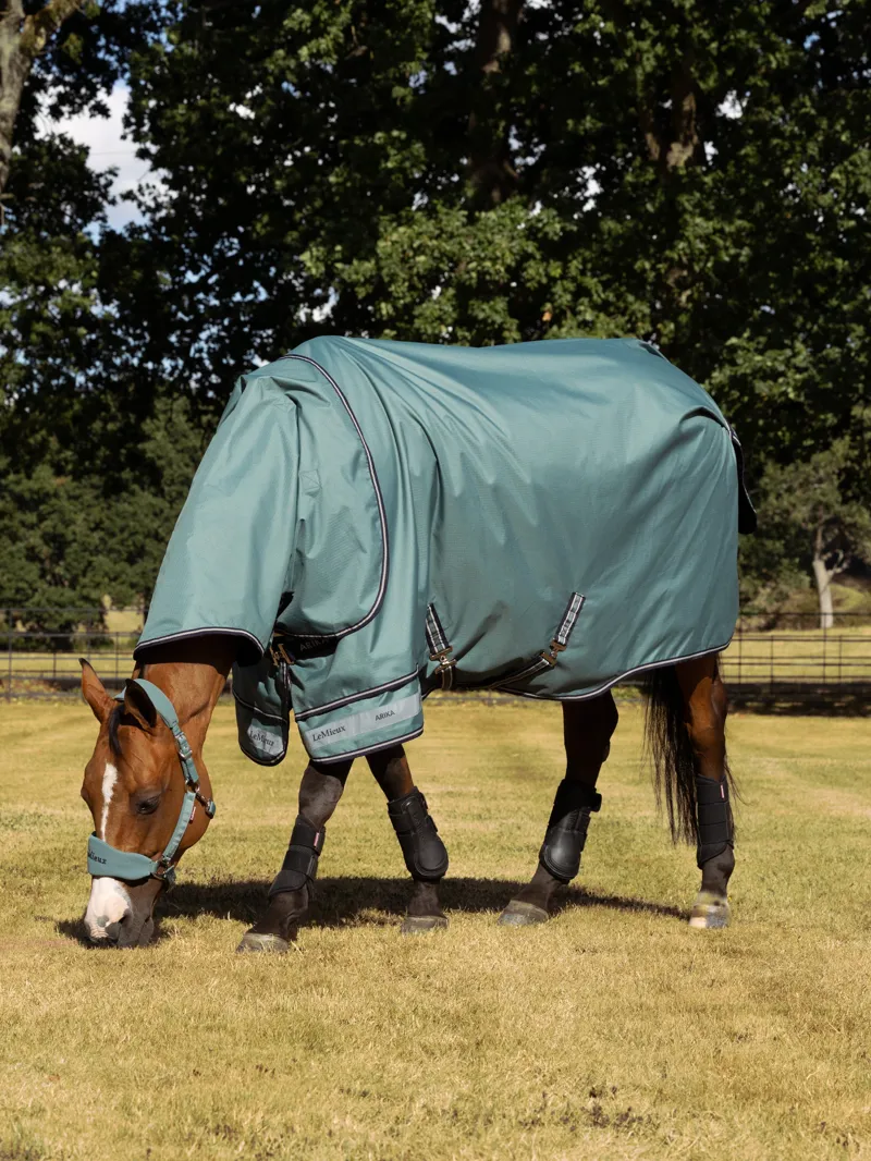 LeMieux Arika Ripstop 100g Turnout Rug - Aloe-1