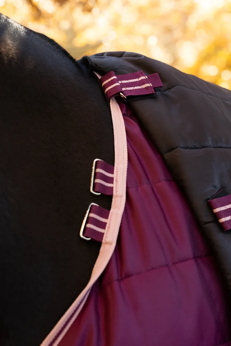 LeMieux Arika Stable-Tek Rug with Neck 100g - Blackberry-6