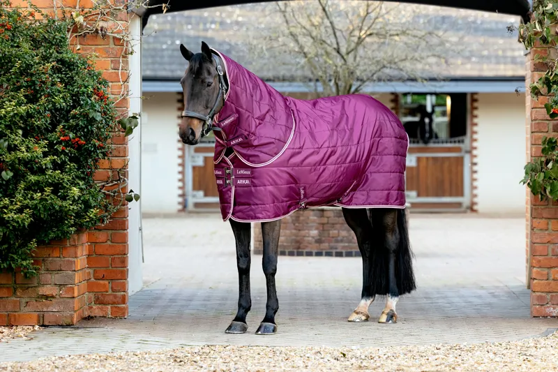 LeMieux Arika Stable-Tek Rug with Neck 200g - Blackberry