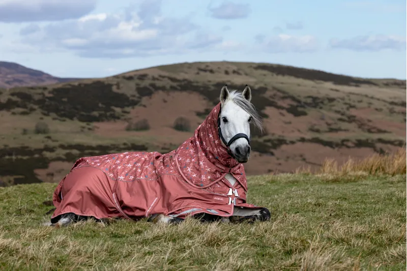 LeMieux Arika Star Turnout Rug 0g - Spiced Earth-10