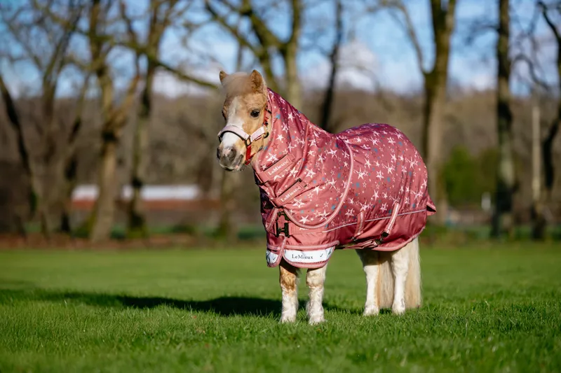 LeMieux Arika Star Turnout Rug 0g - Spiced Earth-2