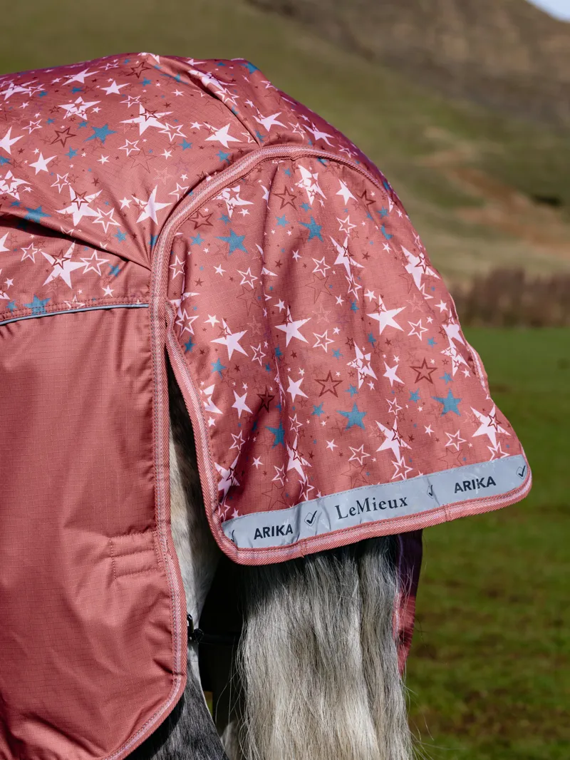 LeMieux Arika Star Turnout Rug 0g - Spiced Earth-8