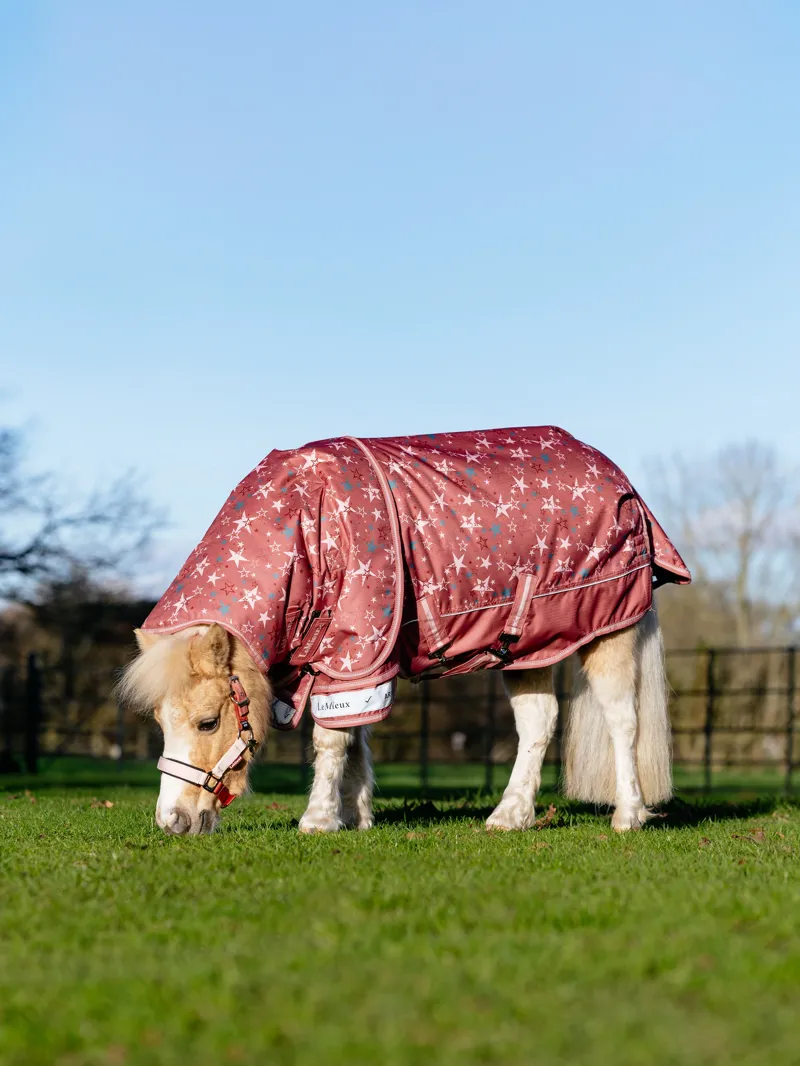 LeMieux Arika Star Turnout Rug 0g - Spiced Earth-12