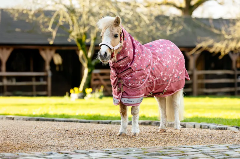 LeMieux Arika Star Turnout Rug 100g - Spiced Earth-11
