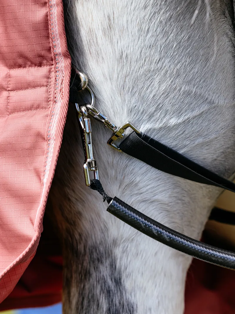 LeMieux Arika Star Turnout Rug 100g - Spiced Earth-8