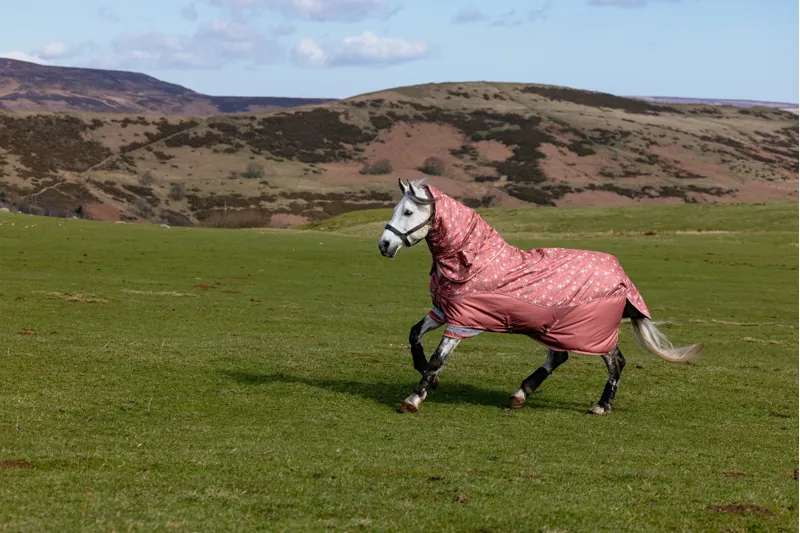 LeMieux Arika Star Turnout Rug 200g - Spiced Earth-10