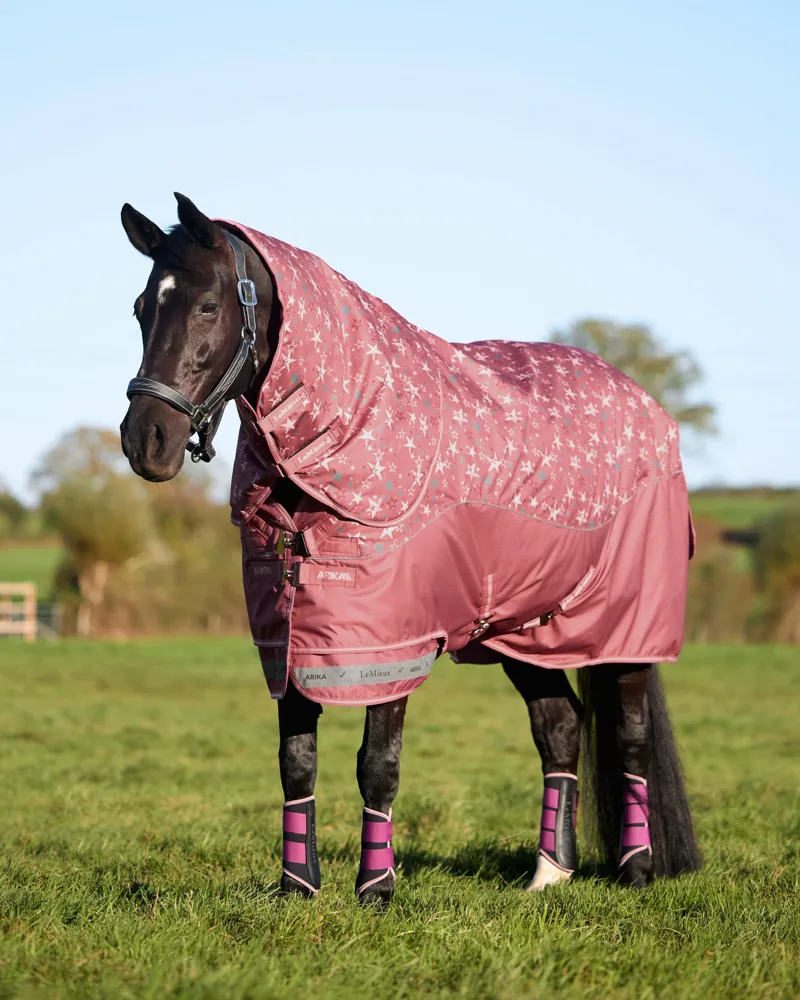 LeMieux Arika Star Turnout Rug 200g - Spiced Earth