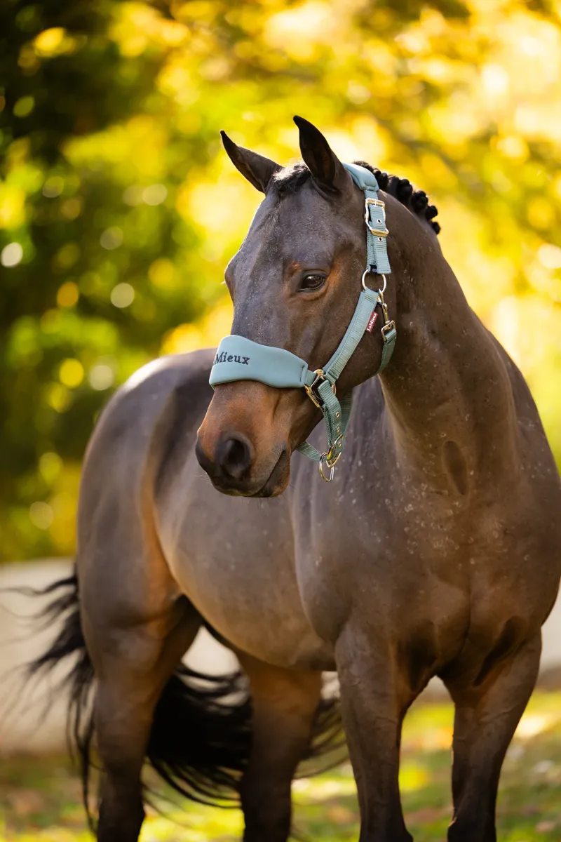 LeMieux Breakaway Vogue Headcollar and Leadrope - Aloe-1