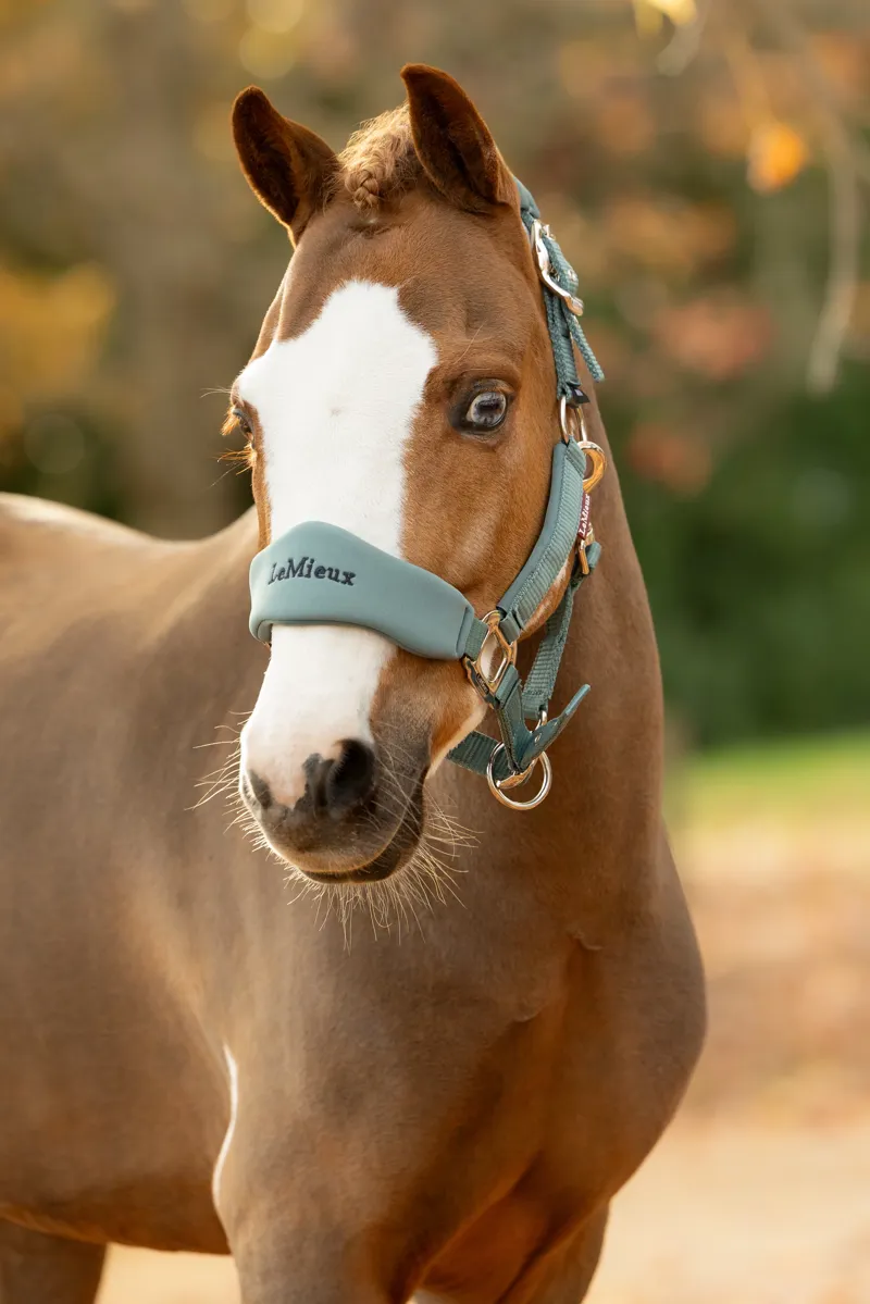 LeMieux Breakaway Vogue Headcollar and Leadrope - Aloe-2