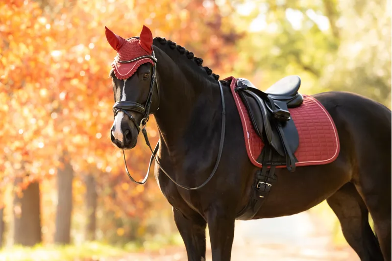 LeMieux Classic Fly Hood - Russet-1