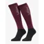LeMieux Competition Socks 2 Pack - Blackberry