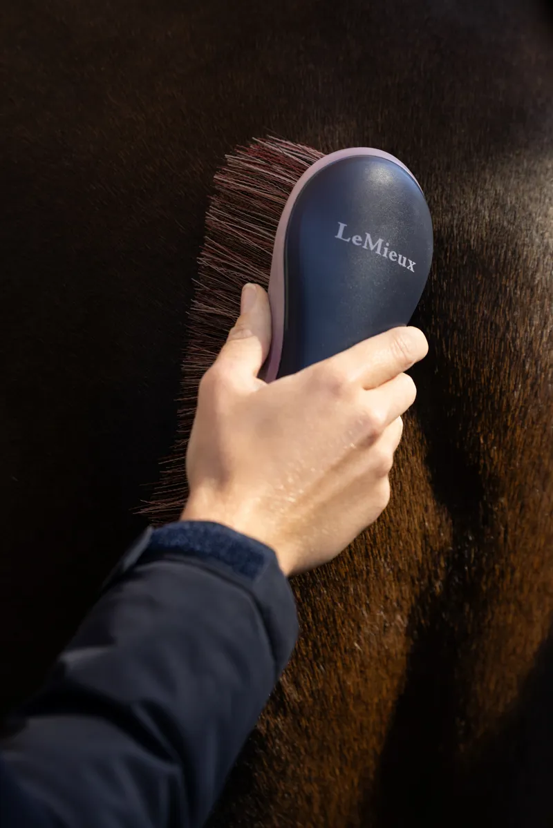 LeMieux Flicky Brush - Navy-1