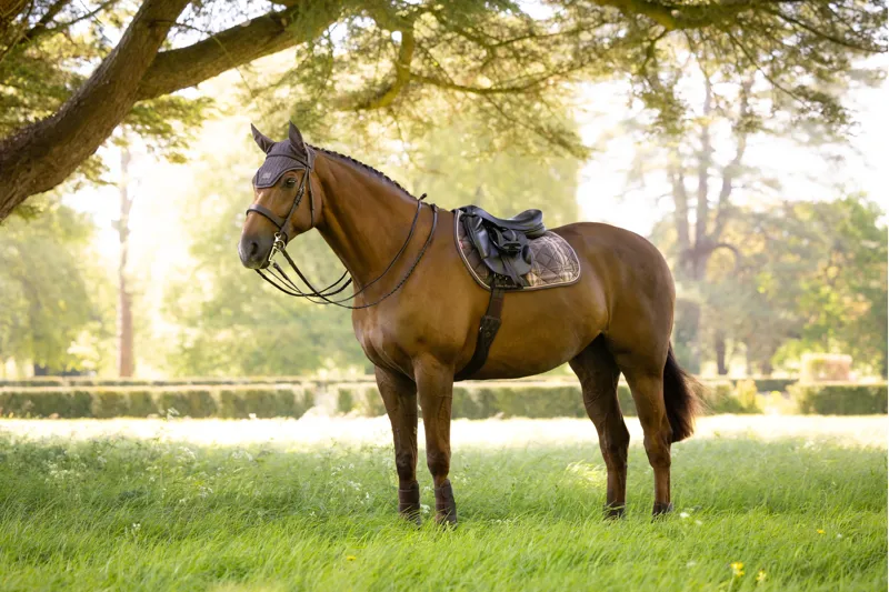 LeMieux Heritage Check Jump Square - Cocoa-2
