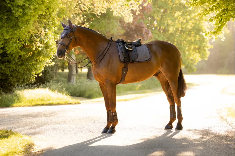 LeMieux Heritage Herringbone Dressage Square - Cocoa-6