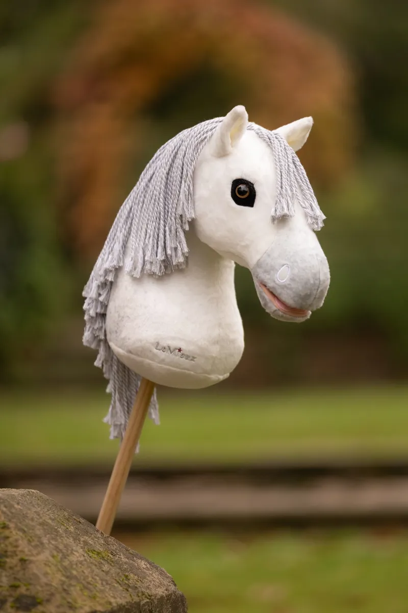 LeMieux Hobby Horse - Coco-1