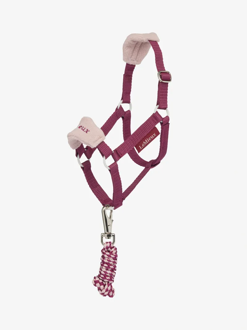 LeMieux Hobby Horse Vogue Headcollar and Leadrope - Blackberry