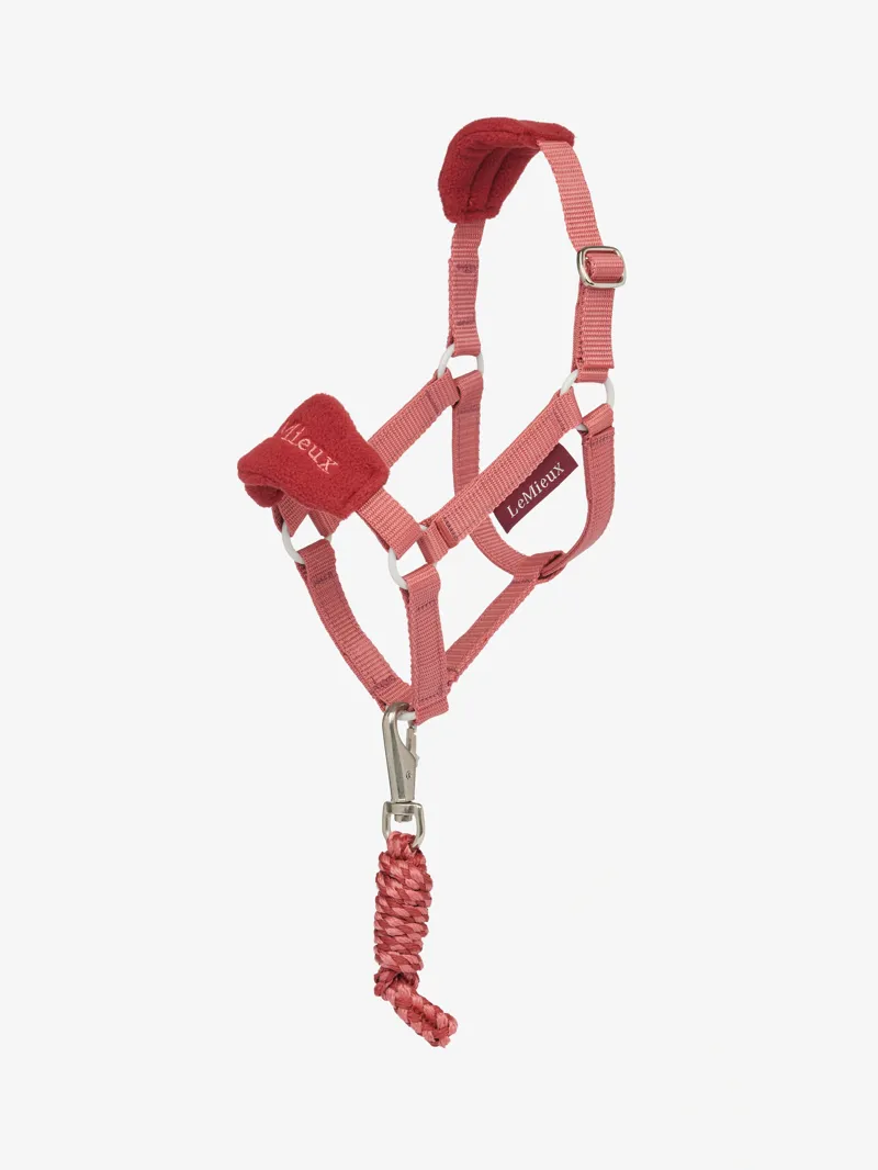 LeMieux Hobby Horse Vogue Headcollar and Leadrope - Spiced Earth