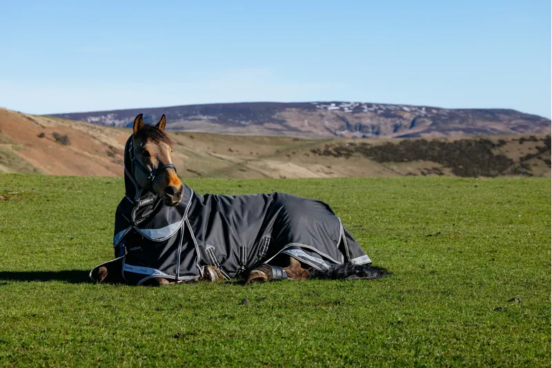 LeMieux Kudos Neo-Turnout Rug 100g - Black-10