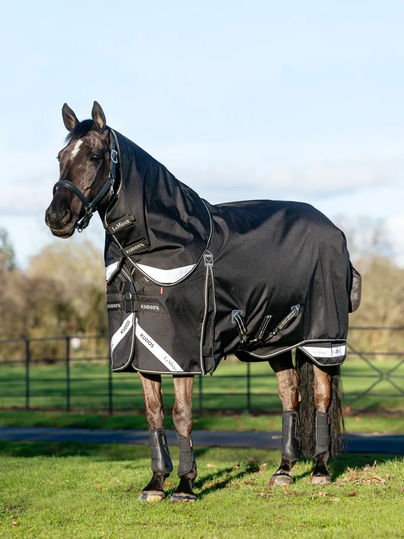 LeMieux Kudos Neo-Turnout Rug 100g - Black