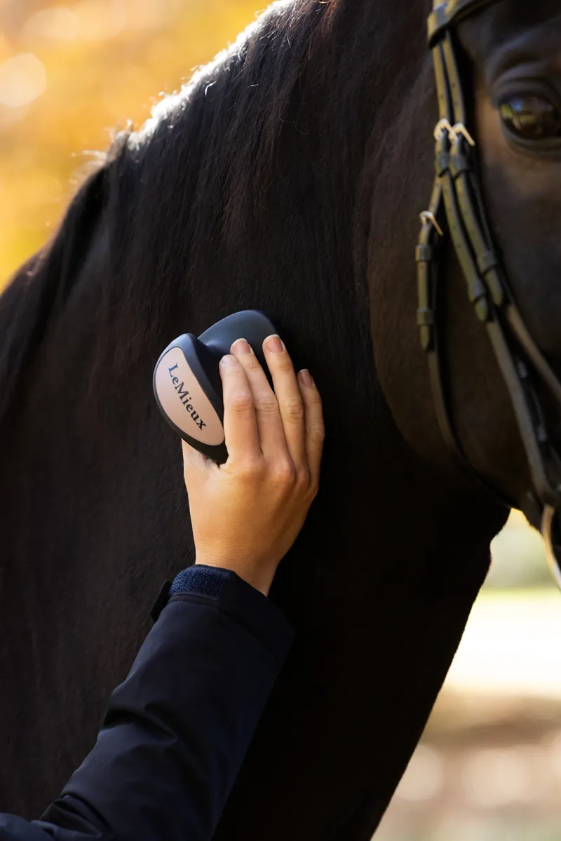 LeMieux Massage Brush - Navy-2