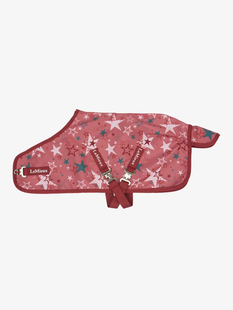 LeMieux Toy Pony Printed Turnout Rug - Spiced Earth