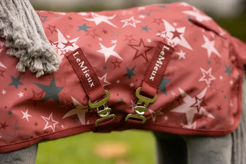 LeMieux Toy Pony Printed Turnout Rug - Spiced Earth-2