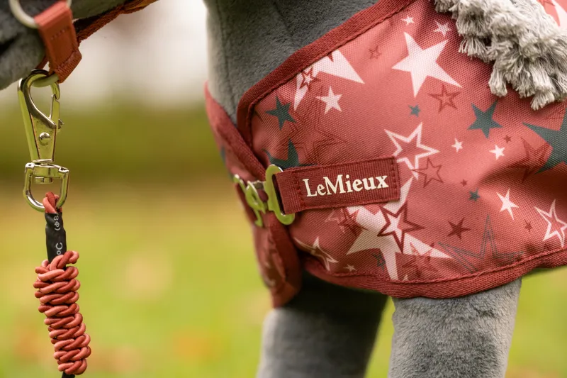 LeMieux Toy Pony Printed Turnout Rug - Spiced Earth-1