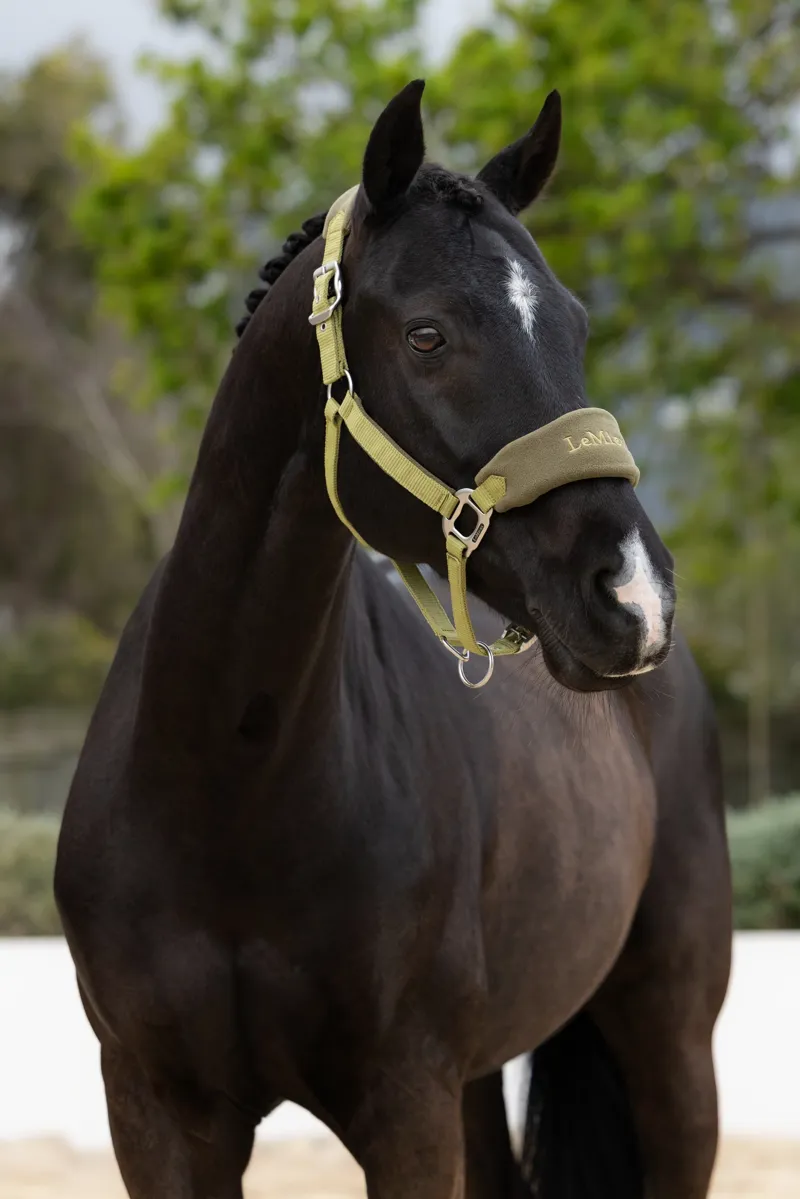 LeMieux Vogue Headcollar and Leadrope - Gooseberry-1