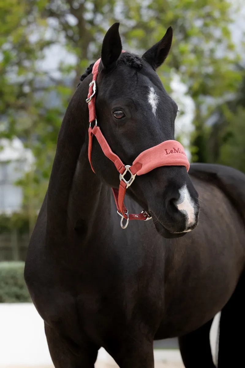 LeMieux Vogue Headcollar and Leadrope - Russet-2