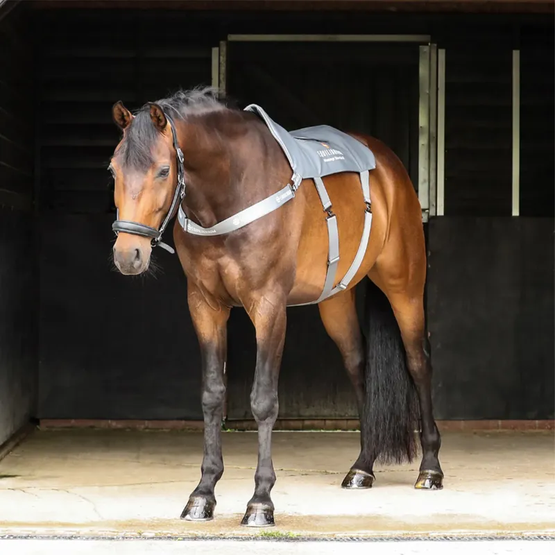 Equilibrium Massage Back Pad - Standard-2