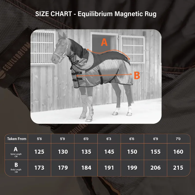 Equilibrium Therapy Magnetic Rug - Black/Grey-4