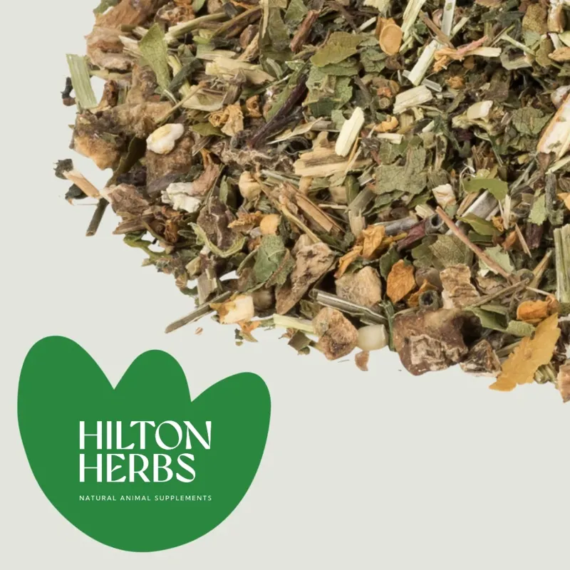 Hilton Herbs Multi-Flex General Health Supplement - 1kg-2