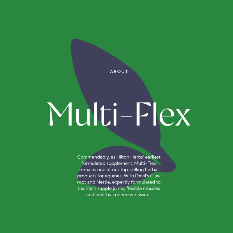 Hilton Herbs Multi-Flex General Health Supplement - 1kg-8