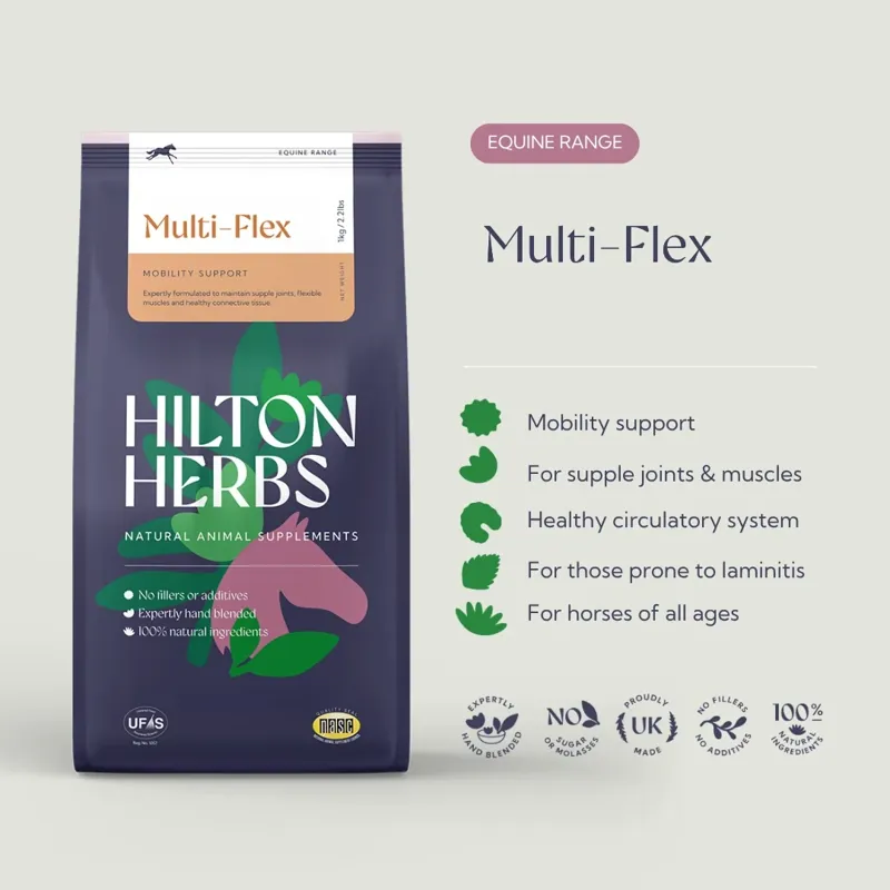 Hilton Herbs Multi-Flex General Health Supplement - 1kg-1