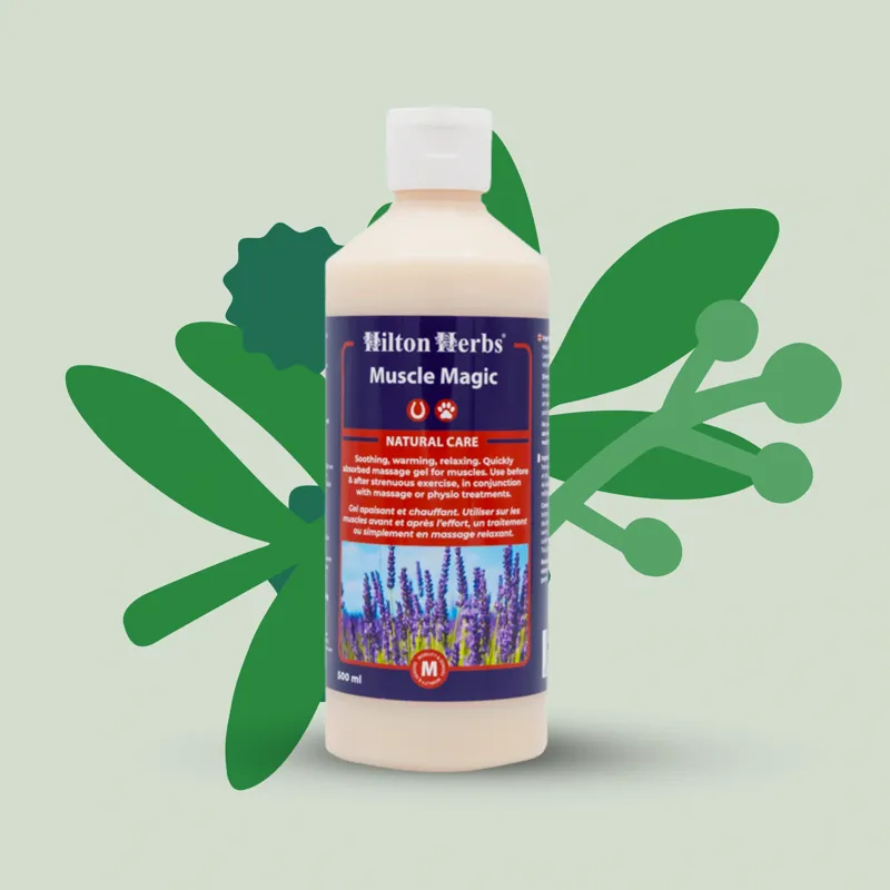 Hilton Herbs Muscle Magic Herbal Gel - 500ml-1