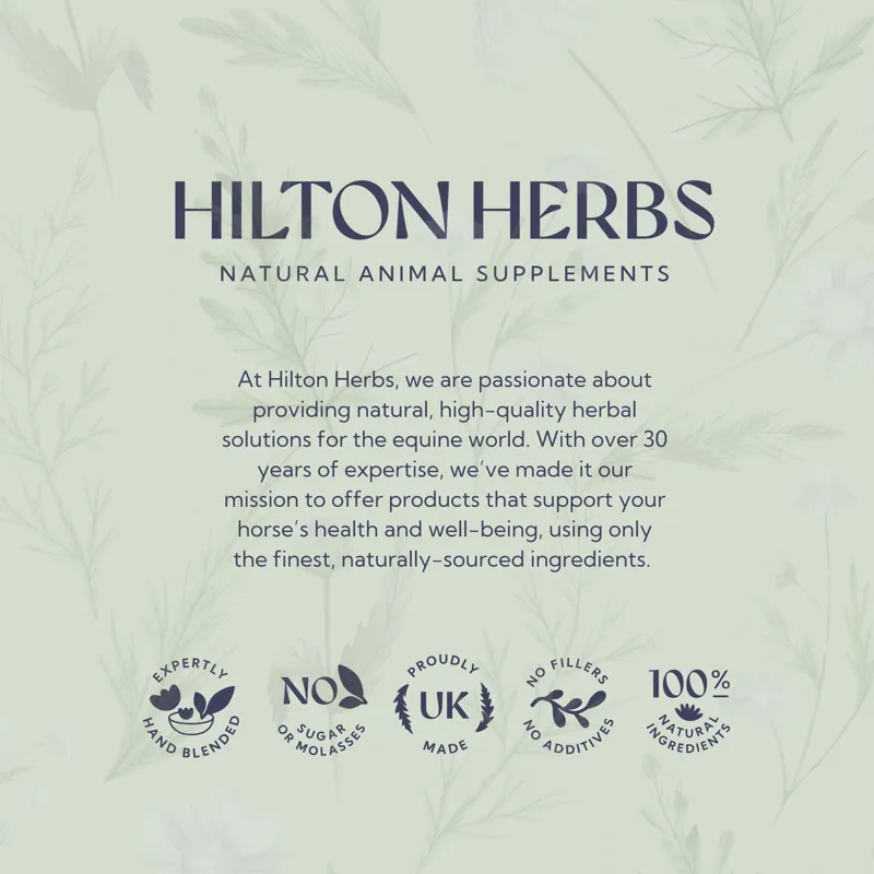 Hilton Herbs Muscle Magic Herbal Gel - 500ml-7