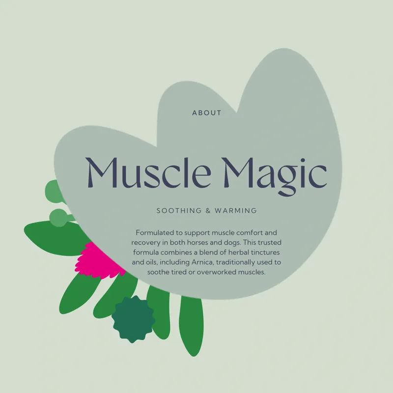 Hilton Herbs Muscle Magic Herbal Gel - 500ml-3