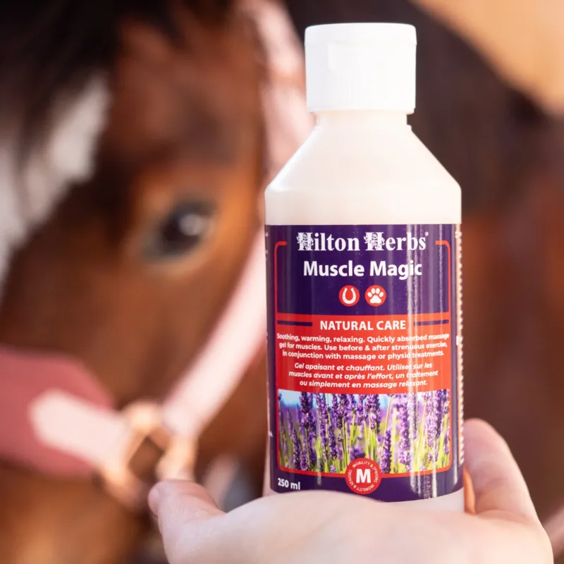 Hilton Herbs Muscle Magic Herbal Gel - 500ml-2
