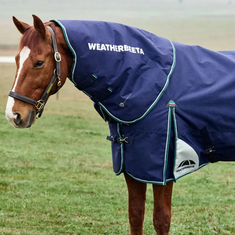 WeatherBeeta ComFiTec Plus Dynamic 0g Turnout Neck Cover - Navy/Forest Green