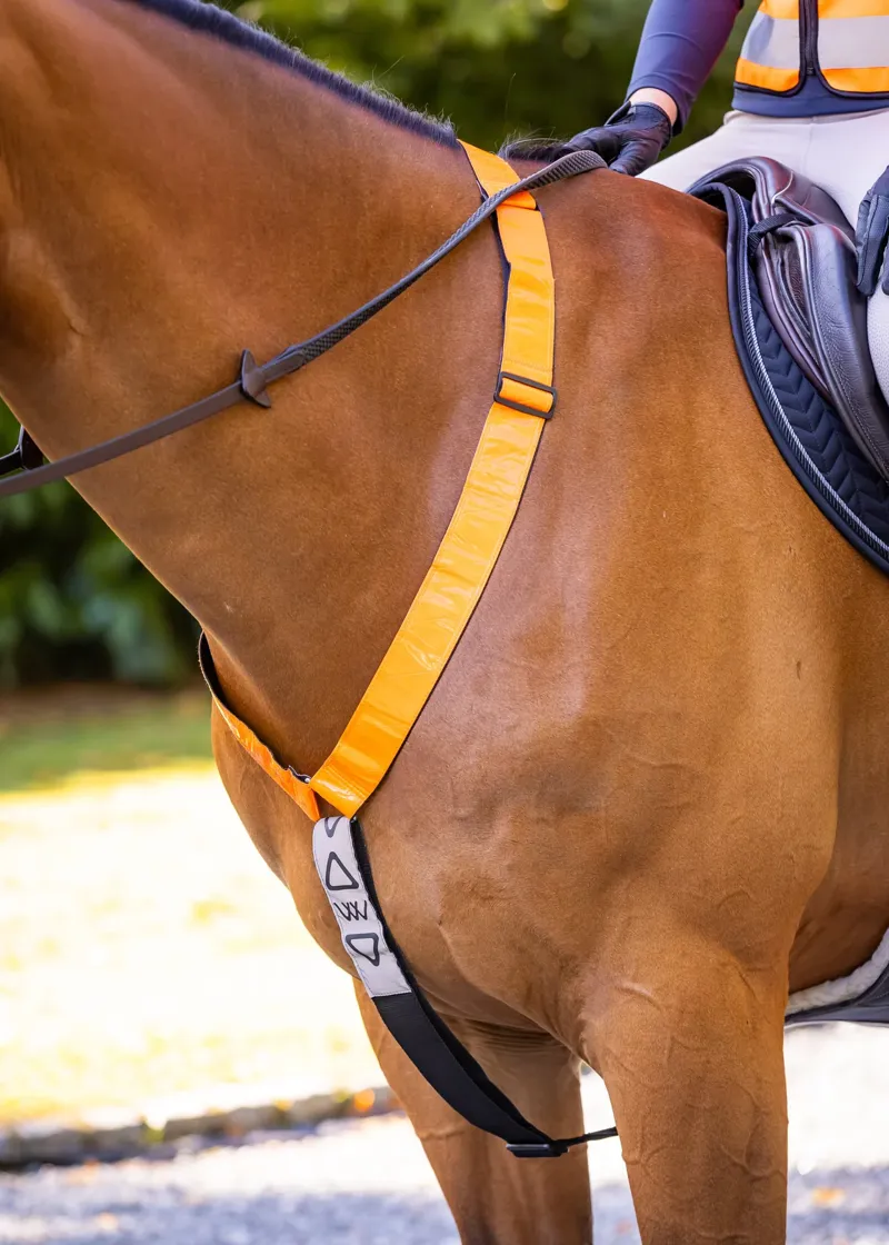 Woof Wear Hi Vis Neck Band - Orange-1