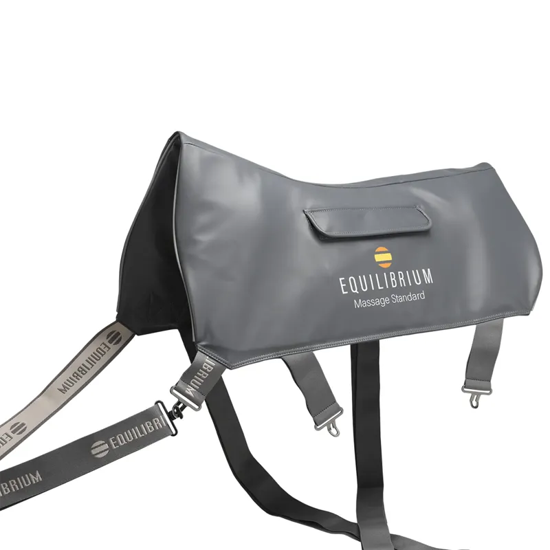 Equilibrium Massage Back Pad - Standard-1