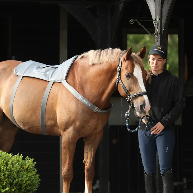 Equilibrium Massage Back Pad - Standard-3