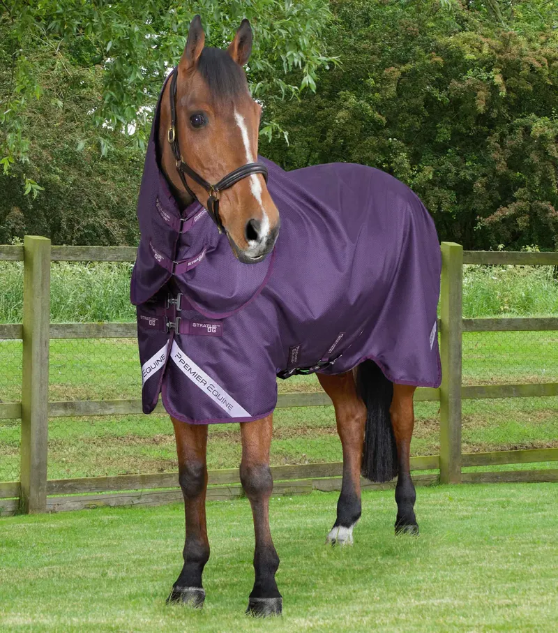 Premier Equine Stratus 600D Series 0g Turnout Rug with Classic Neck Cover - Purple
