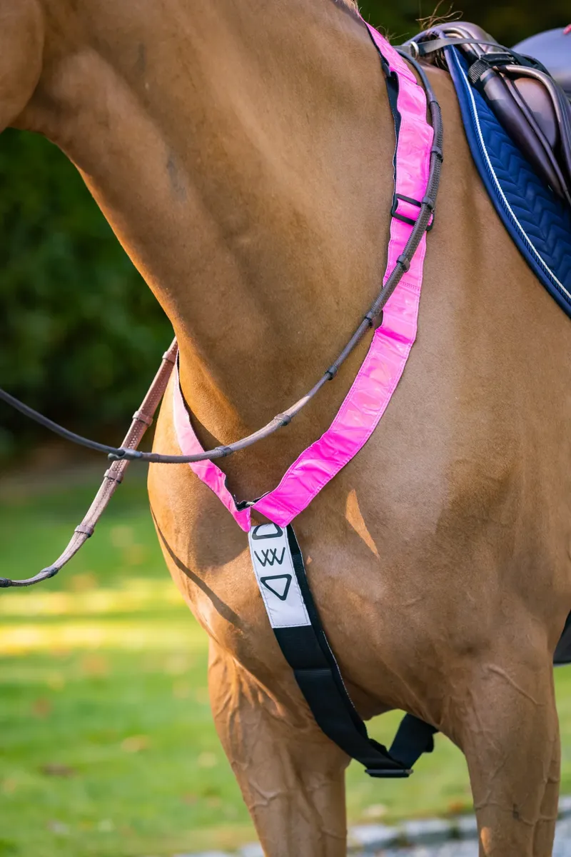 Woof Wear Hi Vis Neck Band - Pink -1