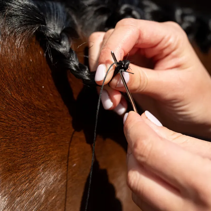 Smart Grooming Blunt Ended Plaiting Needles-1