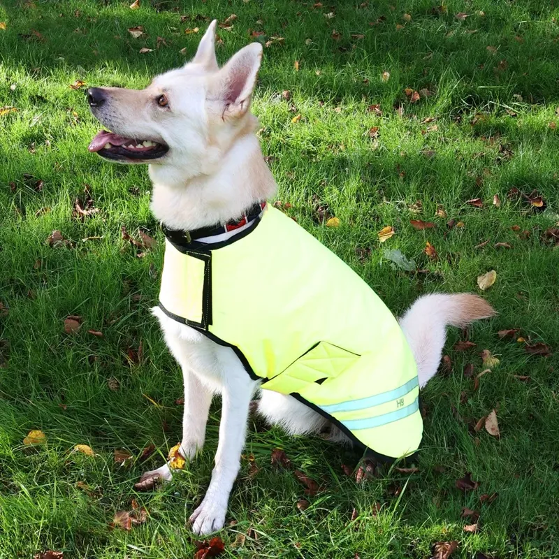 Benji and Flo Sublime Polo Leather Dog Collar - Red/Navy/White-2